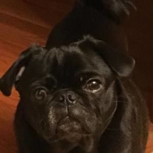 Meet your Posher, Heidi